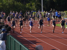Enlarge photo 267