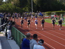 Enlarge photo 271