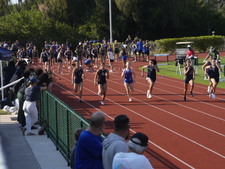Enlarge photo 272