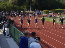 Enlarge photo 273