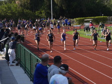 Enlarge photo 274