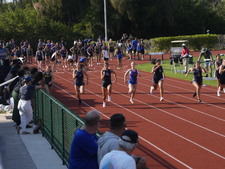 Enlarge photo 275