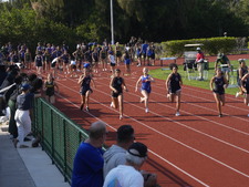 Enlarge photo 276