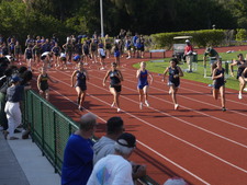 Enlarge photo 278