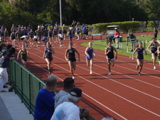 Enlarge photo 279
