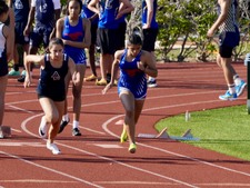 Enlarge photo 290