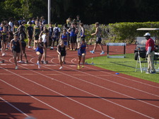 Enlarge photo 292