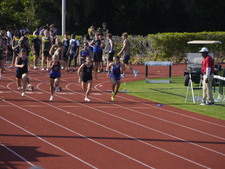 Enlarge photo 294