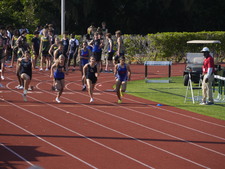 Enlarge photo 296
