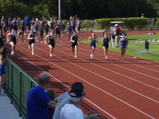 Enlarge photo 301