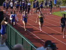 Enlarge photo 333