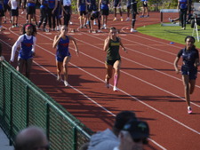 Enlarge photo 335