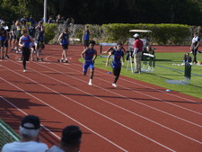 Enlarge photo 344