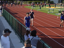 Enlarge photo 377