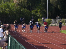 Enlarge photo 392