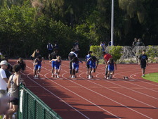Enlarge photo 393