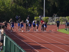 Enlarge photo 397