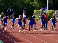 Enlarge photo 402