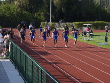 Enlarge photo 407