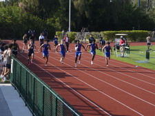 Enlarge photo 408