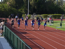 Enlarge photo 409