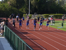 Enlarge photo 410