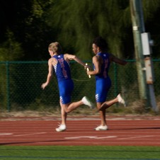 Enlarge photo 727