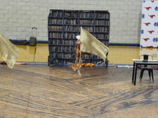 Enlarge photo 262