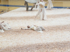 Enlarge photo 51