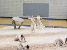 Enlarge photo 61