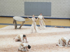 Enlarge photo 62