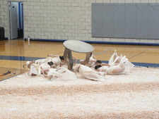 Enlarge photo 91