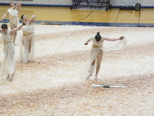 Enlarge photo 167