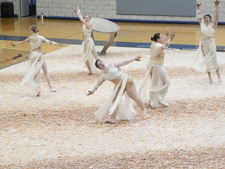 Enlarge photo 169