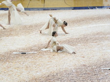 Enlarge photo 178