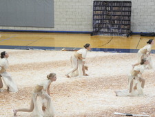 Enlarge photo 212