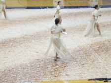 Enlarge photo 228