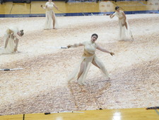 Enlarge photo 231