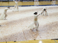 Enlarge photo 236