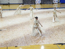 Enlarge photo 242