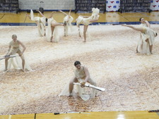 Enlarge photo 272