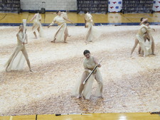 Enlarge photo 276
