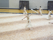 Enlarge photo 283