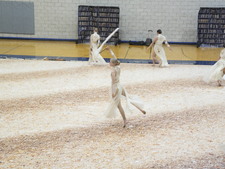 Enlarge photo 285