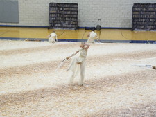 Enlarge photo 297