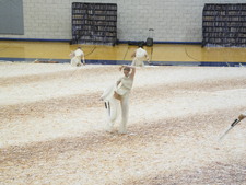 Enlarge photo 298