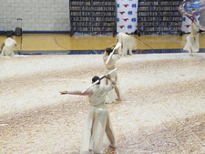 Enlarge photo 312
