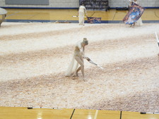 Enlarge photo 328
