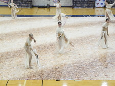 Enlarge photo 335