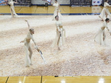 Enlarge photo 338